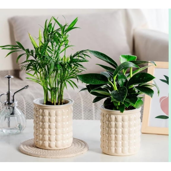 Self-Watering Flower Pots 4.5 Inch Clear Automatic Water Absorbing Plastic Flower Pots Round Hydroponic Plant Pots for All Plants, Succulents, Herbs, African Violets 2 Pieces