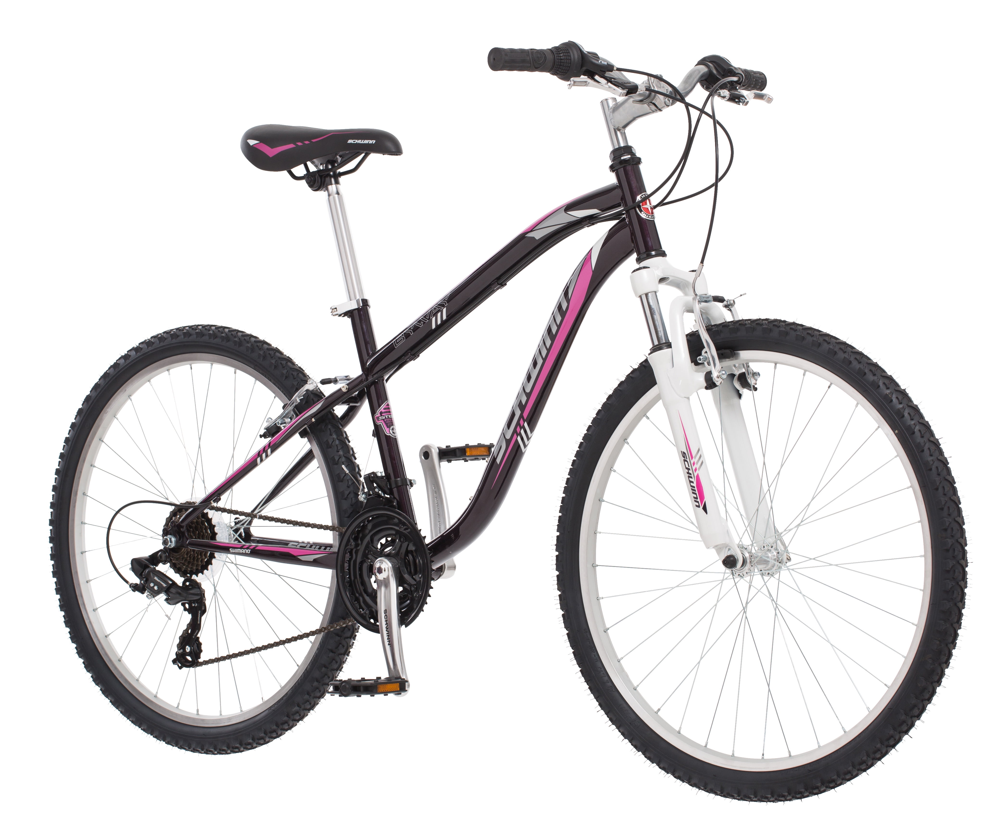 schwinn byway