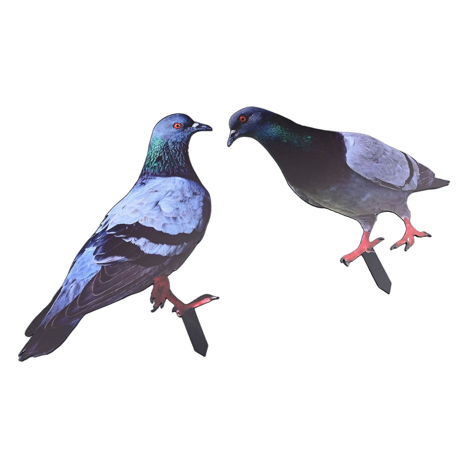 KDJ 2D Acrylic Garden Pigeon Statue Wild Pigeon Sculpture Yard Decor Farm Card - for Home Decor