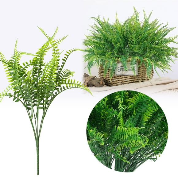 Home Decoration Seven Forked Persian Fern: Elegant Indoor Green Plants Ornamental Easy To Maintain Creating A Natural And Fresh Home Environment