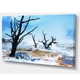 thumbnail image 2 of Beautiful Land with Large Dry Trees - Extra Large Landscape Canvas Art, 2 of 3