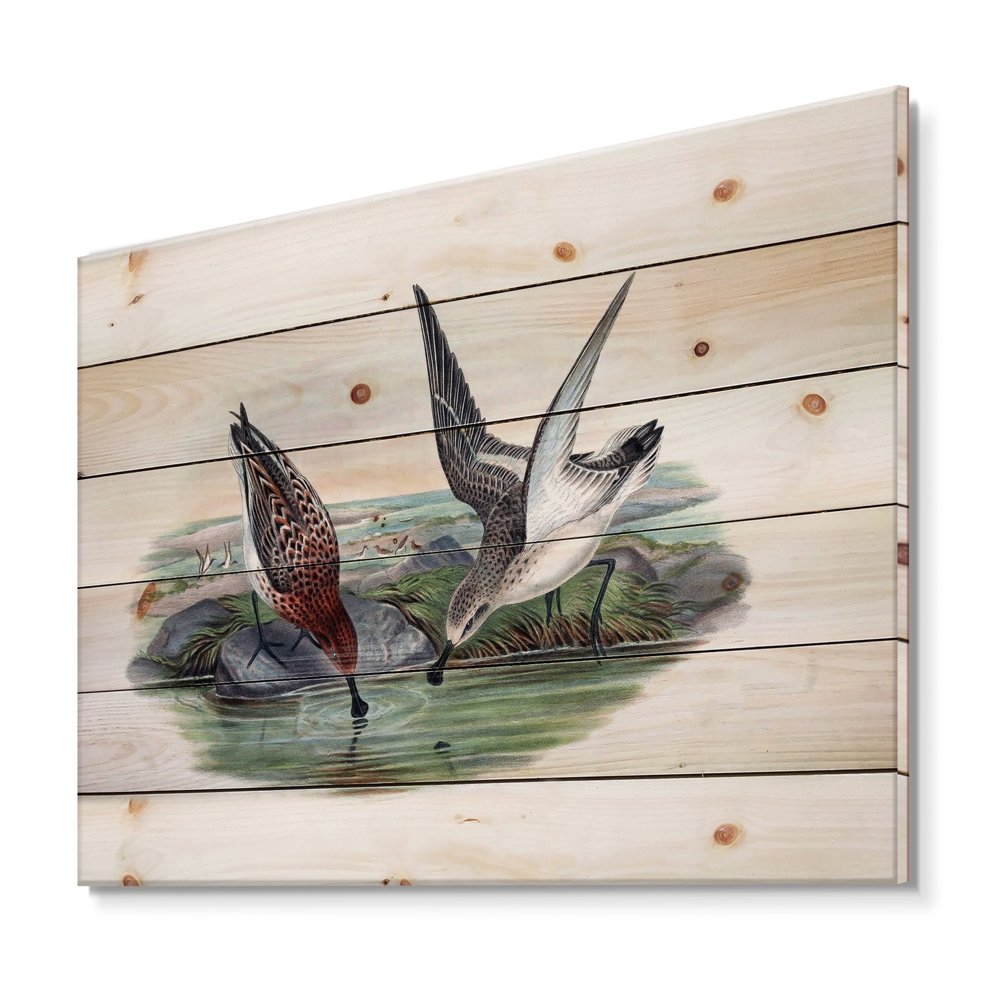 Designart 'Vintage Countryside Two Birds In Lake' Farmhouse Print on Natural Pine Wood