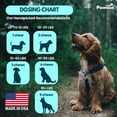 thumbnail image 5 of Pawious Flea and Tick Supplement for Dogs Chewables - Natural Support for Dogs Skin & Coat - 9 Oz, 120 Ct., 5 of 8