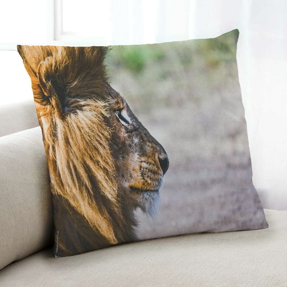 Ahgly Company Animals Lion Indoor Throw Pillow, 18 inch by 18 inch