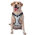 thumbnail image 1 of Fotbe Poodle Dog Arnés para Perro con Estampado –Chaleco Ajustable Acolchado con Asa de Control para Perros Grandes-Small, 1 of 6