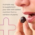 thumbnail image 2 of Juice Plus+ Fruit Blend Soft Chews, Plant-Based Fruit Mix with 11 Fruits, Vegan Chewable Supplement, 120 Count, 2 of 7