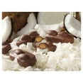thumbnail image 4 of Chocolate Coconut 1.61 Oz Candy Bar, Multiple Pack Box Packaged by CANDY CABIN 12 Pack, 4 of 4