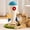 Blue Rocket, variant on Cute Cat Scratching Post, Carrot Cat Scratcher Post with Durable Natural Wooden Turntable Toy and Catnip, 24'‘ H Carrot Shape Design Sisal Cat Tree Sisal Scratcher for Indoor Cats (Cloud Base)
