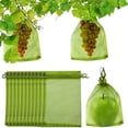 thumbnail image 1 of 100 bolsas de red de protección de frutas para árboles frutales, bolsas de barrera de malla de jardín para proteger las plantas de plagas, pájaros, ardillas, bolsa de malla de frutas con cor, 1 of 5