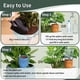 thumbnail image 3 of Paquete de 4 Picos de Riego, Lindos Dispositivos de Autorriego de Plantas para Vacaciones, de Riego Lento para Plantas de Interior, 3 of 5