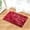 Watermelon Red-735, variant on AuroraX Non-Slip Backing Living Room Area Rug Soft Small Coffee Bathroom Rug Contemporary 19x31 Inch