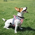 thumbnail image 2 of 1 Set of Cat Night Reflective Vest Kitten Outdoor Walking Rope Puppy Lovely Leash, 2 of 9