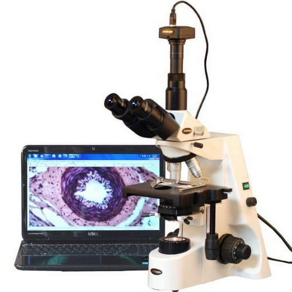 AmScope 40X-2500X Infinity Plan Research Compound Microscope with 8MP USB Digital Camera New