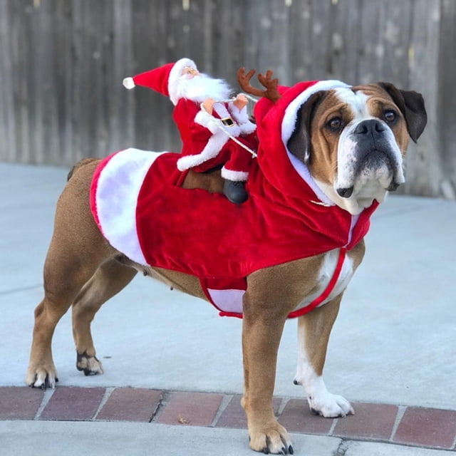 Nueva mascota perro Navidad estilo Santa Claus Liquidación Decoraciones navideñas Conjuntos de adornos navideños transformados Abrigo Perro Adornos navideños Ropa