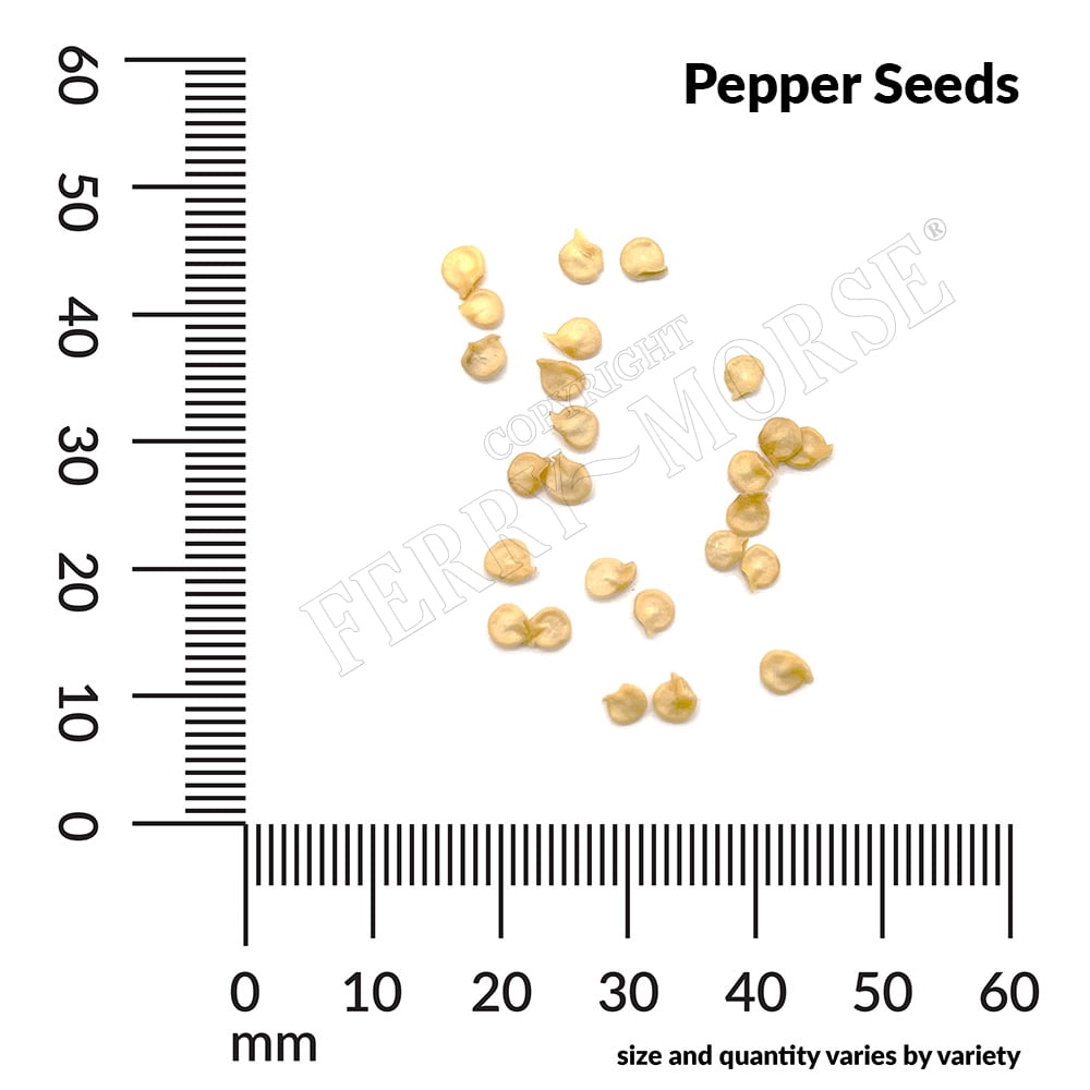 Ferry-Morse 250MG Pepper Plantation Hot Mix Annual Vegetable Seeds, Full Sun