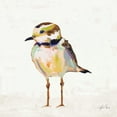 thumbnail image 2 of Vertentes, Jeanette 12x12 White Modern Wood Framed Museum Art Print Titled - Coastal Plover II Linen, 2 of 4