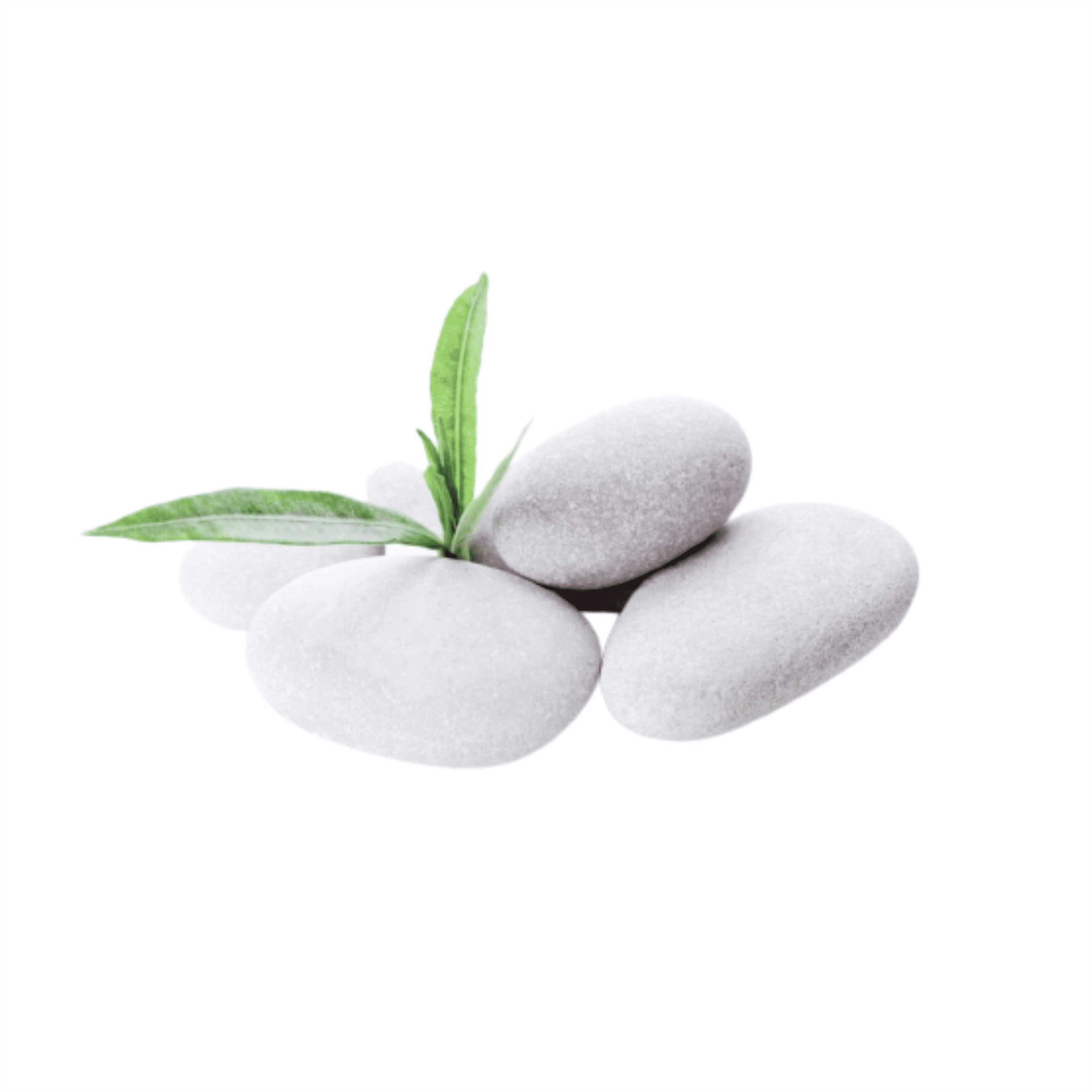 PGN White River Rocks for Plants - 5 Pounds - White Rocks with Smooth, Polished Surfaces - 1-3 Inch Stones for Planters, Aquarium Decorations, Vase, Fireplace, Landscaping, Outdoor Décor
