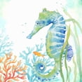 thumbnail image 3 of Coulter, Cynthia 20x20 Black Modern Framed Museum Art Print Titled - Sea Life Serenade III, 3 of 5