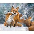 thumbnail image 1 of Cuadros Decorativos Snow Fox Diamond Painting Full Round Drill Wall Art Prints para sala de estar JShteea Nuevos Originales, 1 of 7
