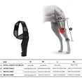 thumbnail image 4 of Férula para patas traseras de perros | Salud de las articulaciones para perros, la envoltura de la articulación del corvejón de la pierna trasera del perro protege las heridas, la abrazadera de compresión cura esquí esquí Gafas de esquí, 4 of 5
