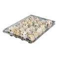 thumbnail image 3 of 100 Jumbo Quail Egg Cartons Only for Coturnix Bobwhite Quail Two Dozen, 3 of 6