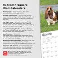 thumbnail image 5 of Basset Hounds | 2024 12x24" (Hanging) Square Wall Calendar | BrownTrout, 5 of 8