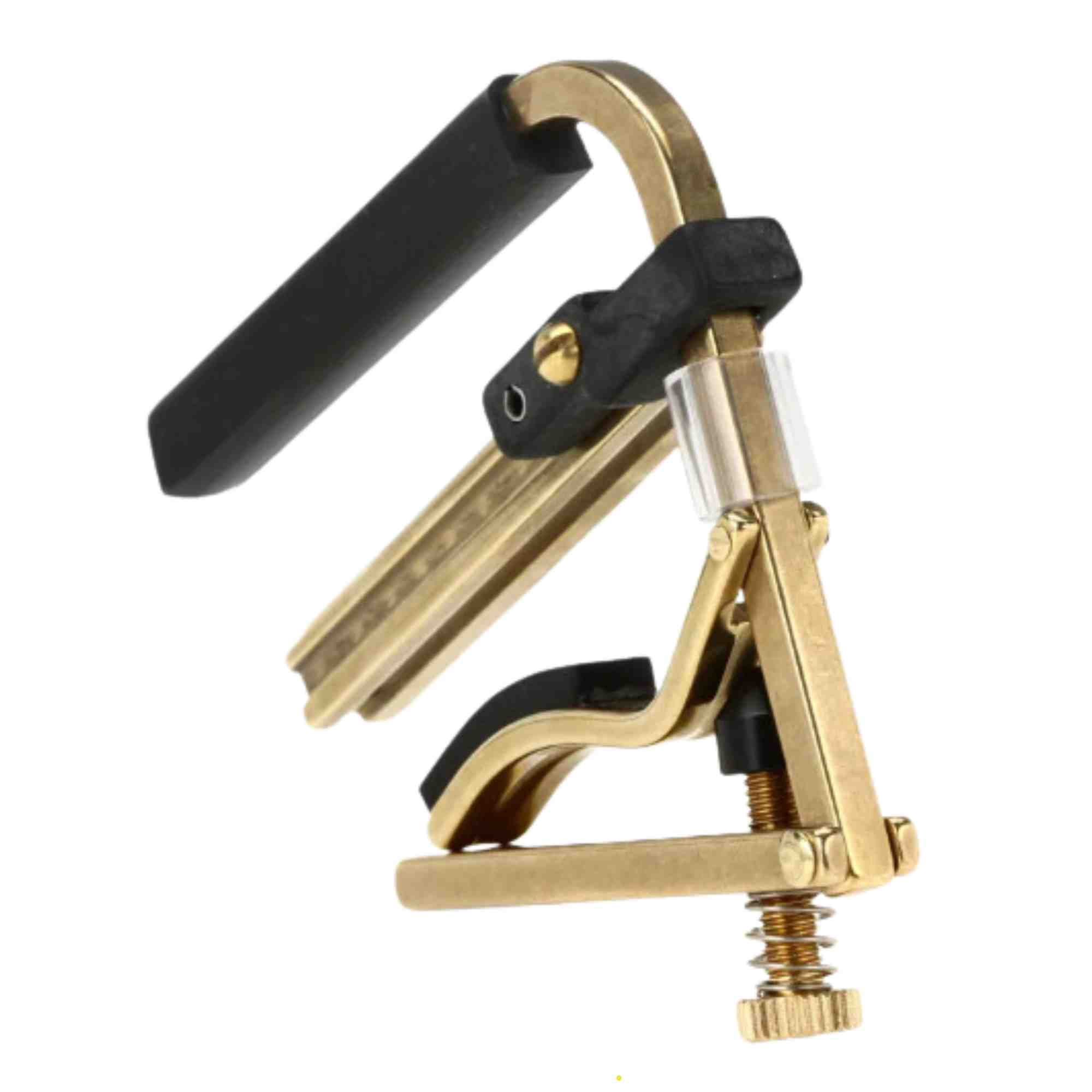 SHUBB DOBRO CAPO