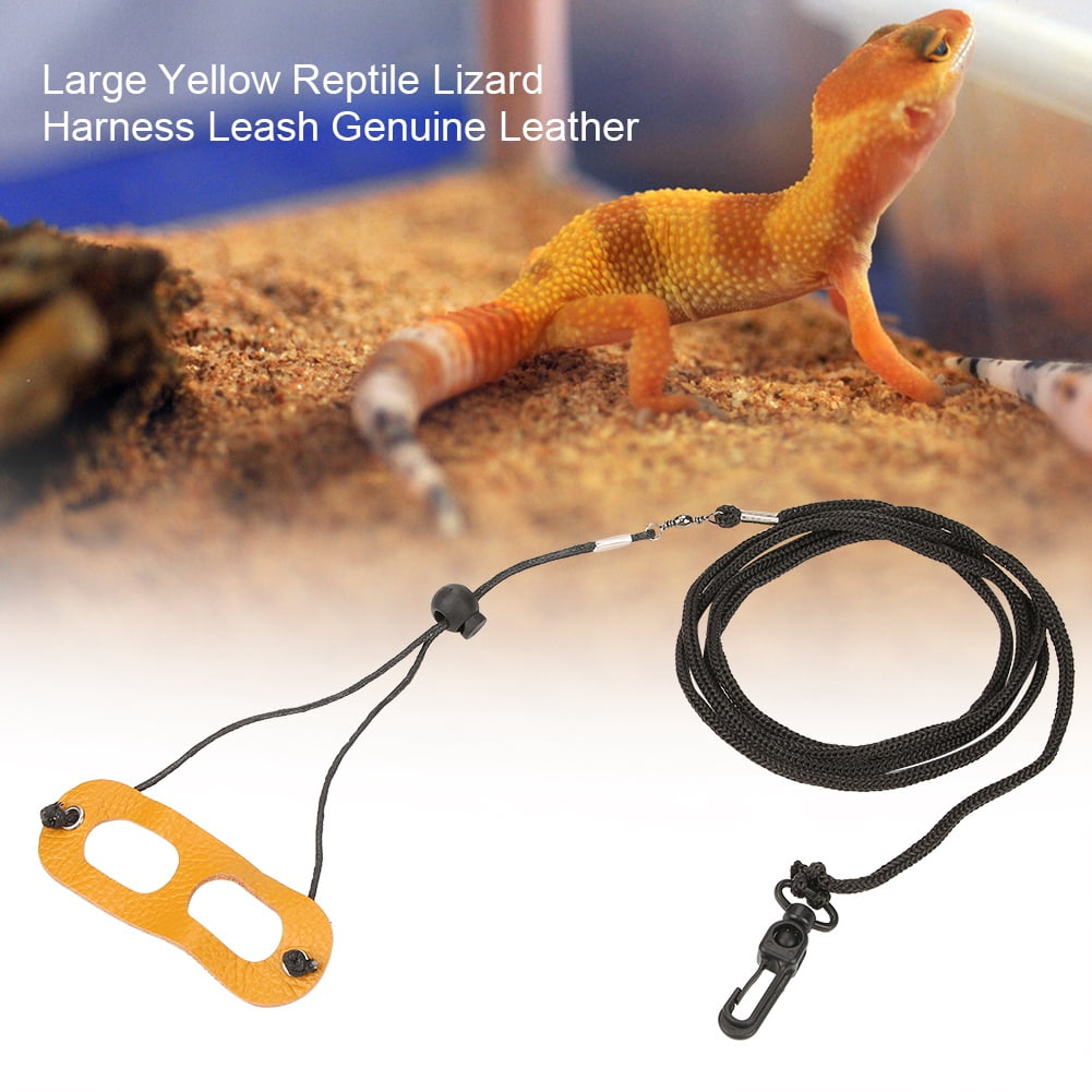 lounge lizard reptile supplies lounge lizard reptile supplies