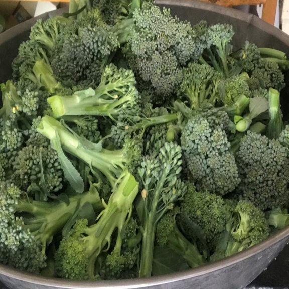 PAPAW'S GARDEN SUPPLY LLC. HELPING THE NEXT GENERATION GROW! Broccoli Bargain Blend 400 Seeds