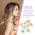 thumbnail image 3 of Injueey 12 Pieces Dried Flower Crafts Simple Accessories Craft DIY Make Adornment Pressed Exquisite Handicrafts Flowers Makeup Type5 NO5, 3 of 6