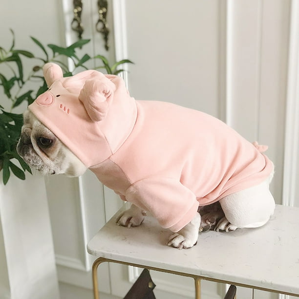 Cat in pig top costume