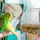 thumbnail image 4 of Alimentador de jaula de loro conveniente alimentador de aves soporte para alimentos de aves, 4 of 5