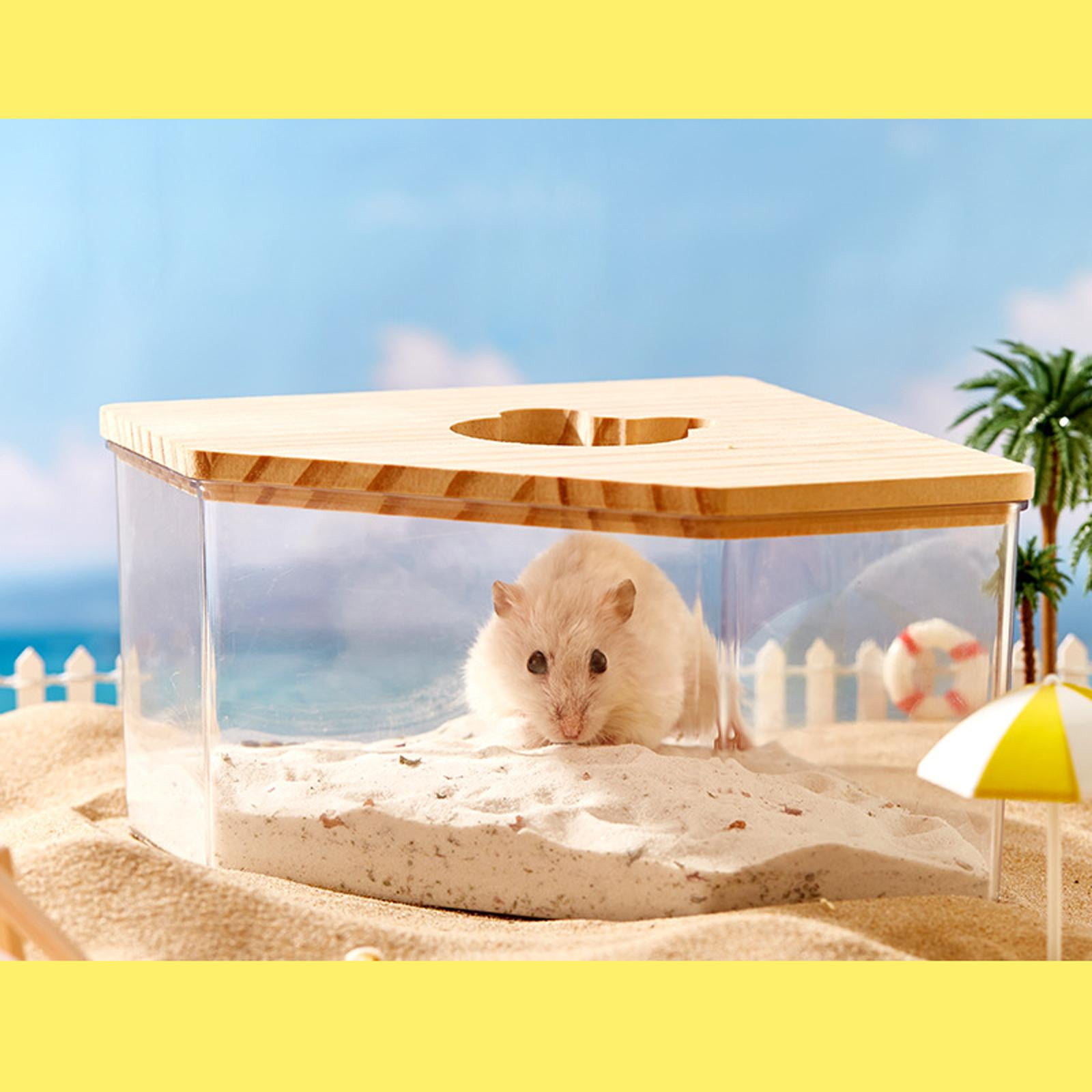 Boîte De Bain En Sable Pour Petits Animaux Domesti... – Grandado