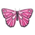 thumbnail image 1 of Alas De Mariposa Rosa - Hearthsong HearthSong CG732682PK, 1 of 3