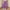 Purple, variant on Teen Sweatpants Girls' And Children's Solid Color Fashion Casual Elastic Waist Sports Straight Leg Pants Long Pants