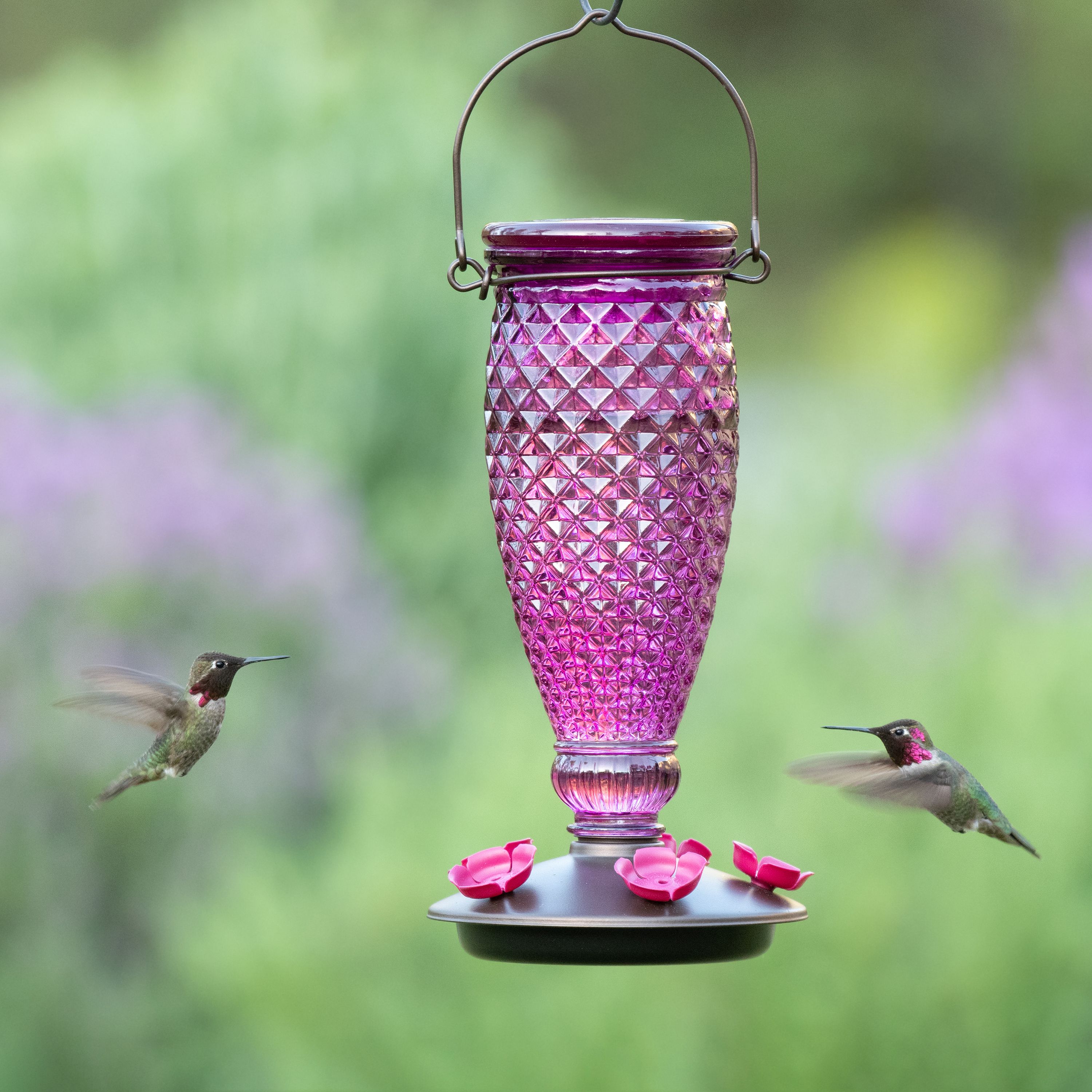 perky pet bee guards for hummingbird feeders