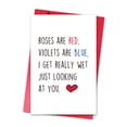 thumbnail image 1 of Tarjeta de San Valentín LYMEQING chiste adulto divertido 20,5 x 13,5 cm, 1 of 6