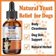 thumbnail image 3 of Suplemento Kivori Lab en gotas para infecciones por hongos para perros, 60 ml, 3 of 6