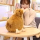 thumbnail image 4 of Lindo Juguete de Peluche de Pájaro Kiwi Realista, Animal de Peluche Portátil Suave para Niños Pequeños, 4 of 7