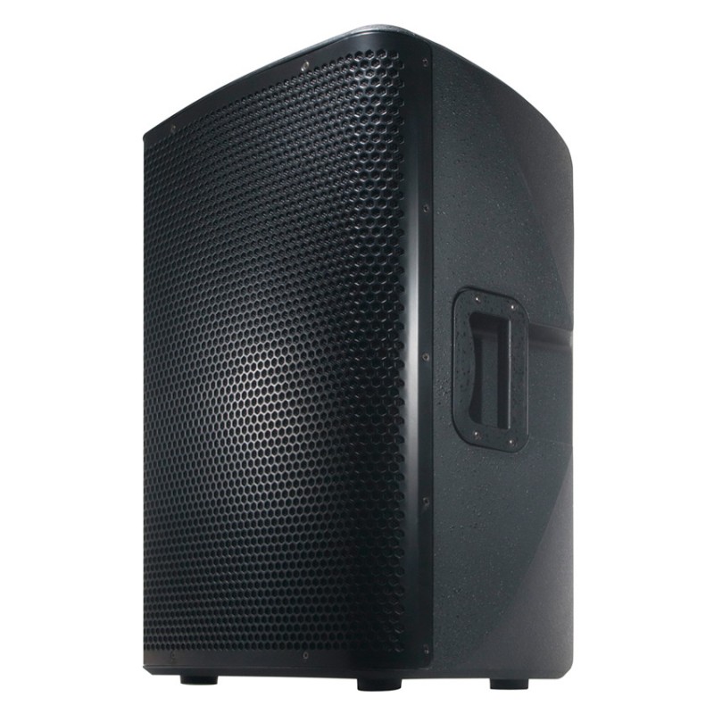 a plus 12 inch speaker