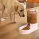 thumbnail image 3 of Alimentador Automático de Mascotas Yuyangstore Comedero y Dispensador de Agua, 3 of 8