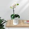 thumbnail image 4 of 1 x Orchid Pots-White, 4 of 6