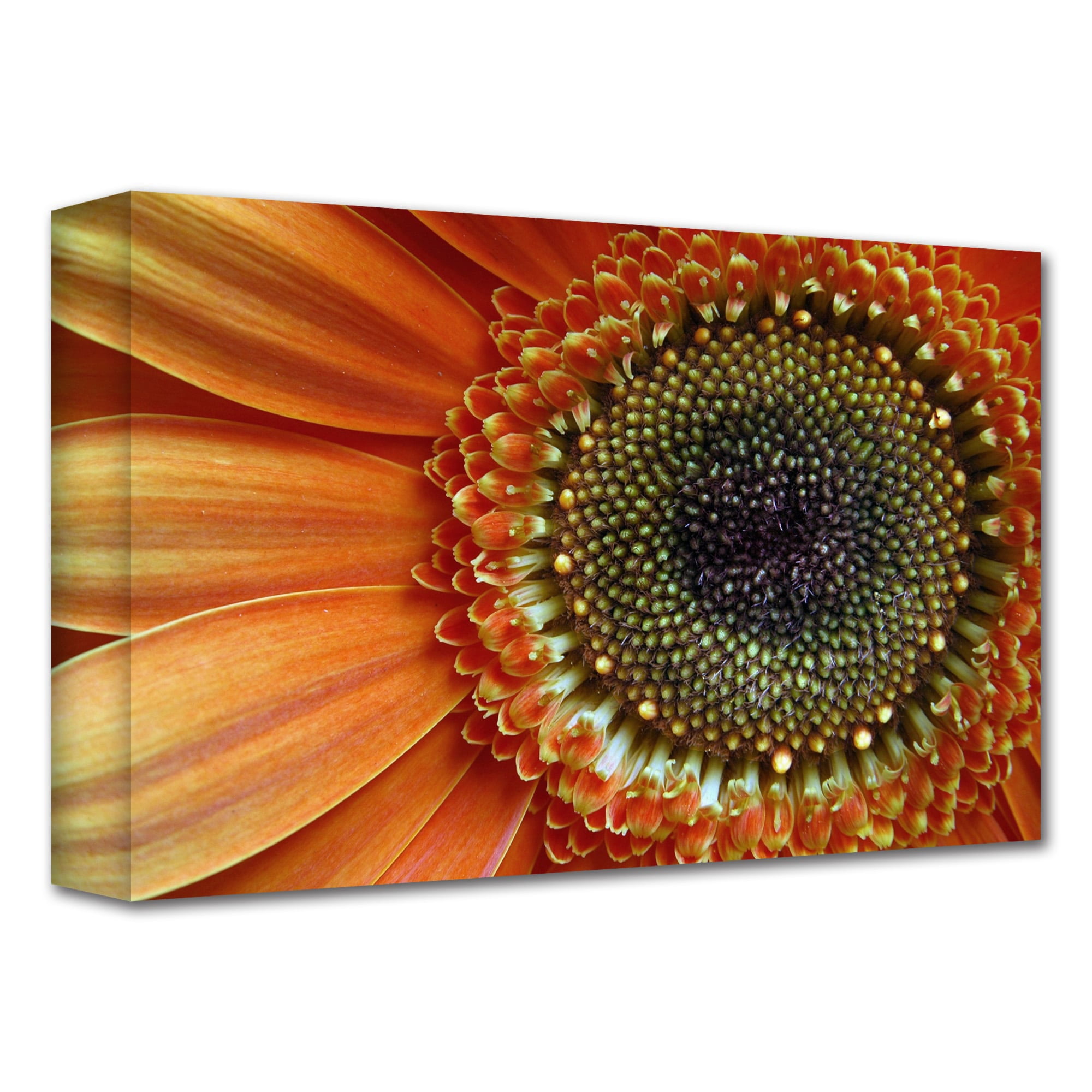 Dan Holm "Big Orange" Gallery-Wrapped Canvas