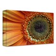 thumbnail image 2 of Dan Holm "Big Orange" Gallery-Wrapped Canvas, 2 of 2
