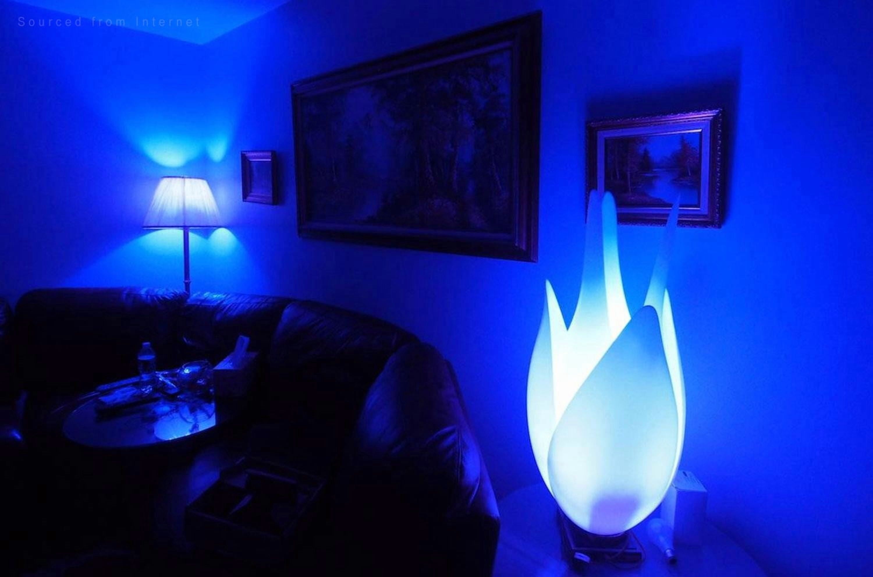 12 Pack Blue LED A19 Colored Light Bulb, 7W, Medium E26 Base, for Outdoor Light Fixture, Floor Lamp, Living Room Decoration