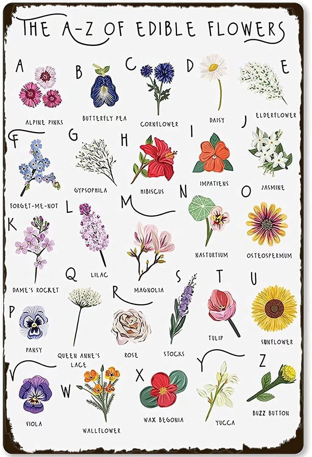 Vintage Metal Signs Wall Decal Edible Flowers Knowledge Wall Art Retro