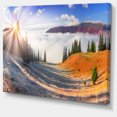 thumbnail image 2 of Yellow Beach Forest in Carpathians, 2 of 3