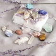 thumbnail image 1 of Kits De Muestras De Minerales Y Rocas Cristales De Colección Con Caja De Almacenamiento, De Para Adultos Niños, 1 of 8