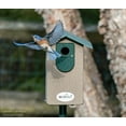 thumbnail image 3 of JCS Wildlife Ultimate Bluebird House - Mounting Pole Bundles Available!, 3 of 11