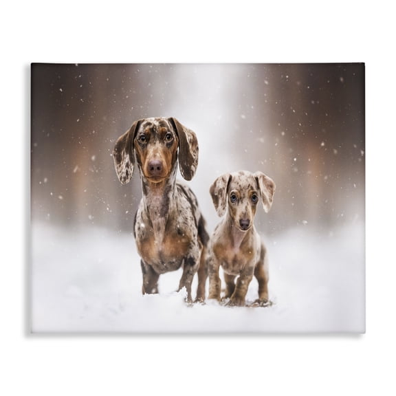 Stupell Industries Eclectic Playing Puppies in Snow Canvas Art, 20 x 16, by Natalie Grosse